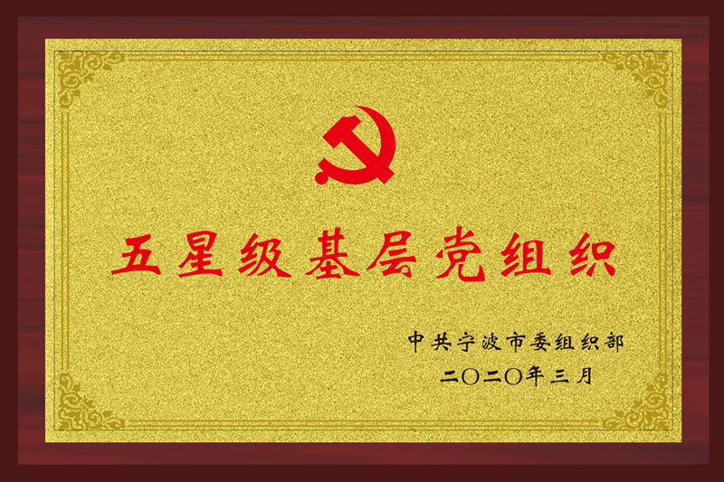 五星级基层党组织