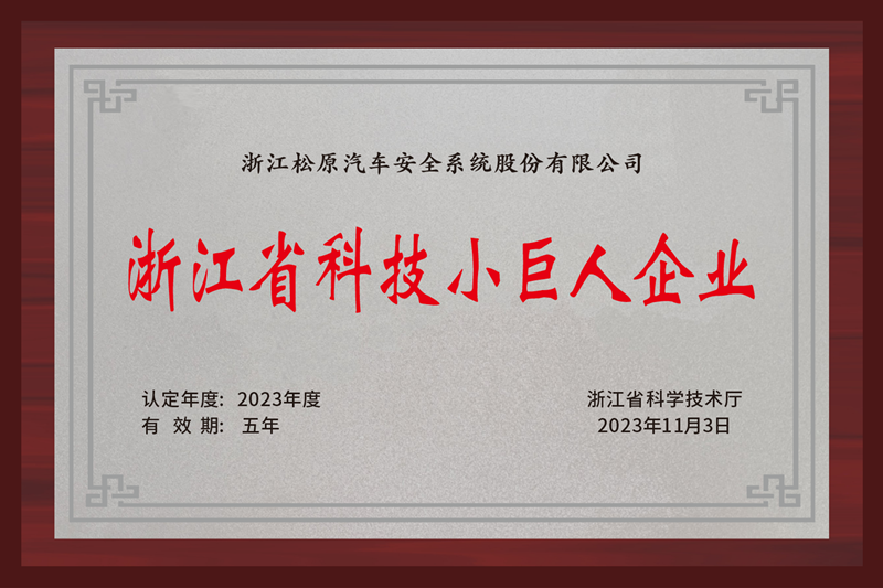 浙江省科技小巨人企业